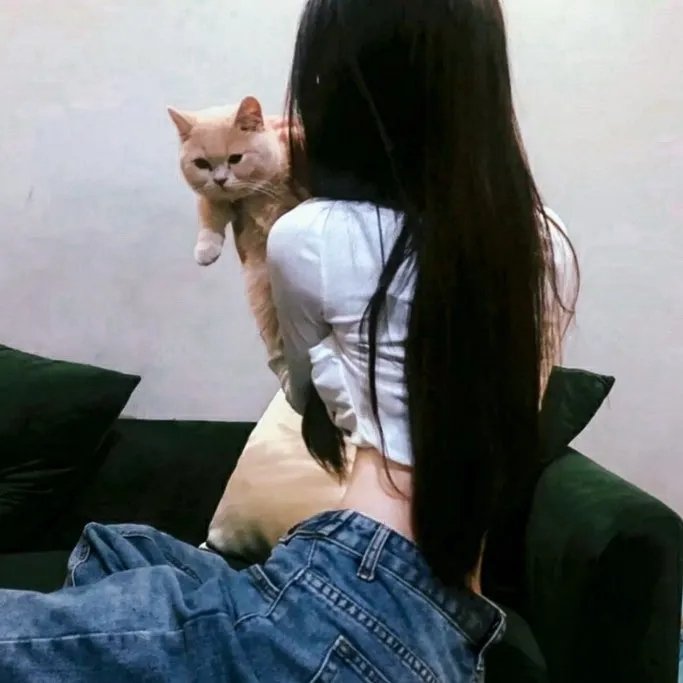 蠢密欧与茱丽叶